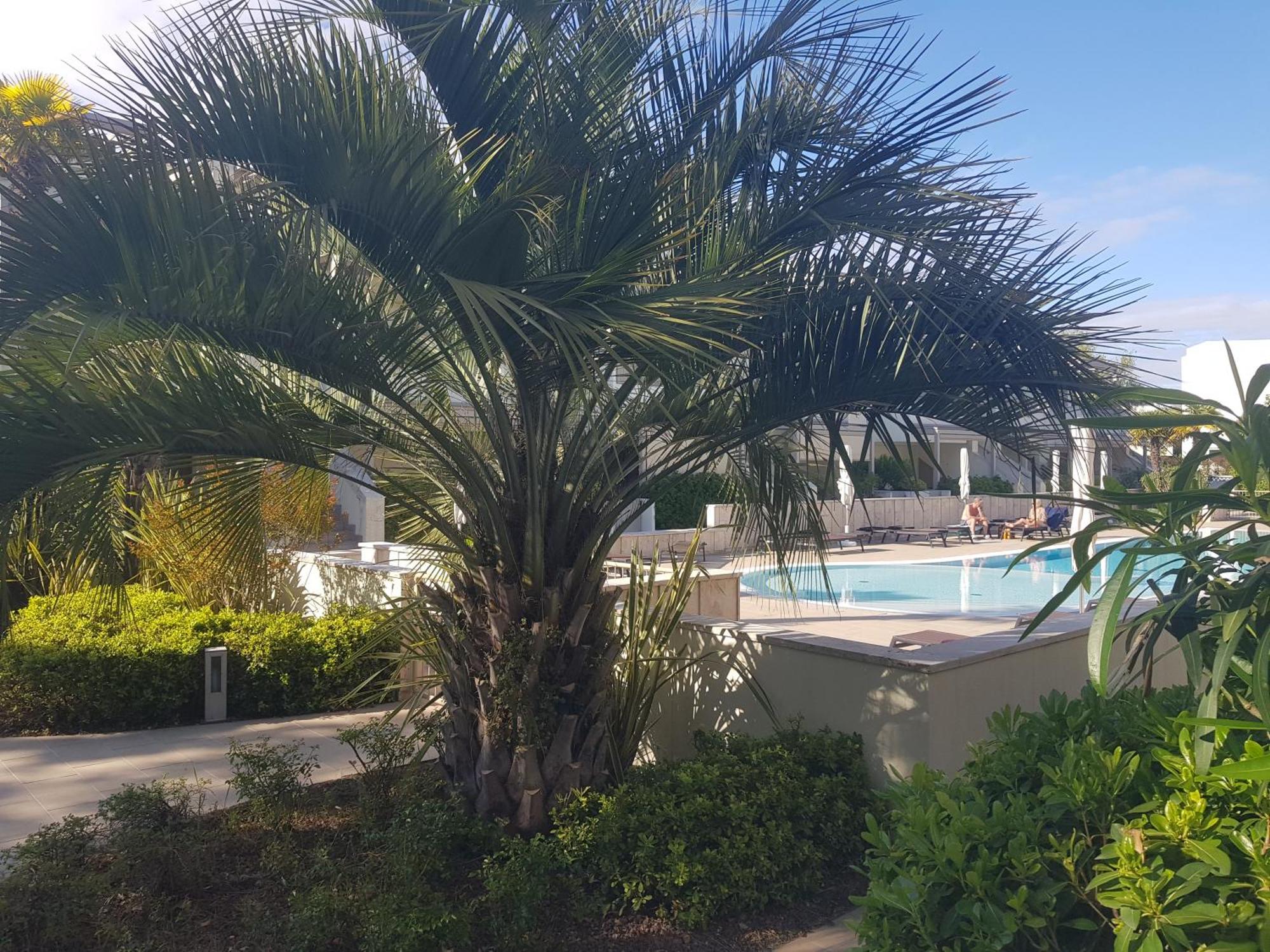 Lido Centro Con Piscina * Lido di Jesolo